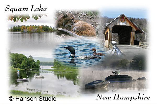Squam Lake, NH - Collage - Square Format